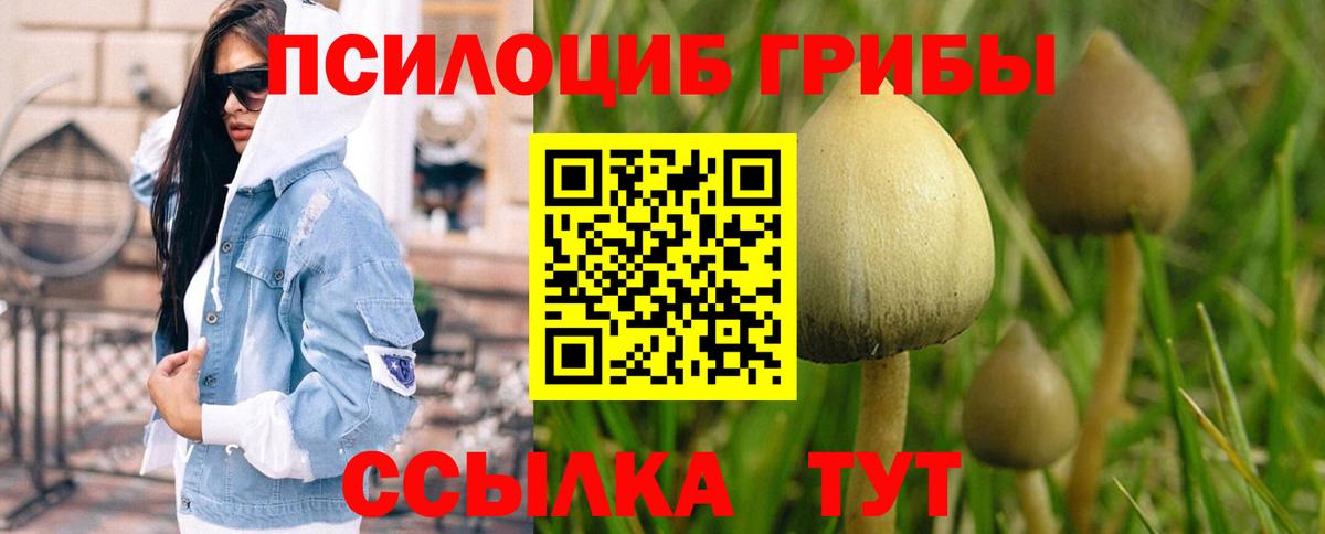 Галлюциногенные грибы мухоморы  магазин продажи   Новый Уренгой  Вход с VPN 